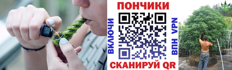 Бошки марихуана SATIVA & INDICA ссылка на мегу зеркало Чекалин